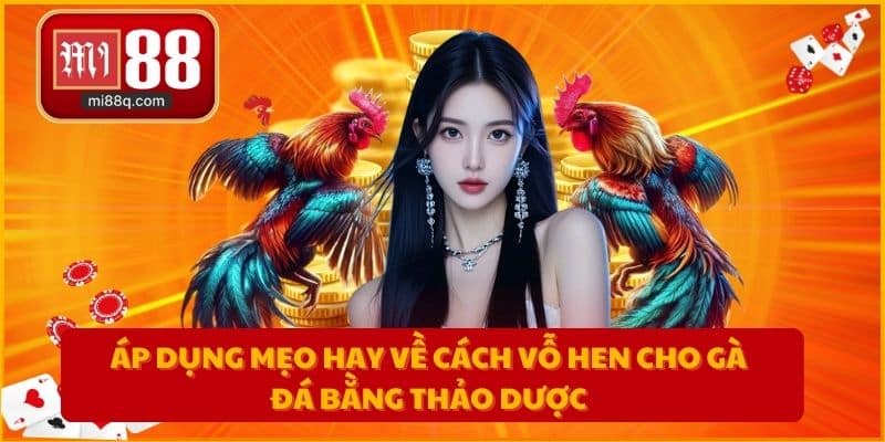 Áp dụng mẹo hay về cách vỗ hen cho gà đá bằng thảo dược