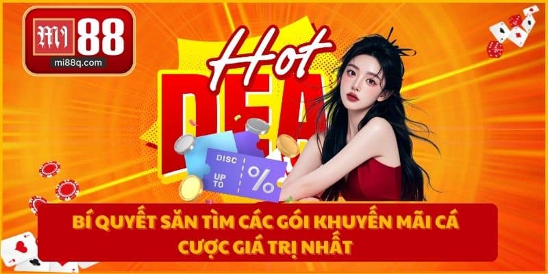 Bí quyết săn tìm các gói khuyến mãi cá cược giá trị nhất