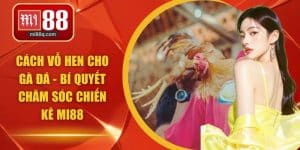 cách vỗ hen cho gà đá