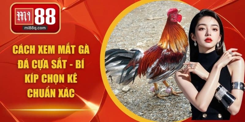 cách xem mắt gà đá cựa sắt