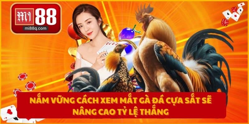 Nắm vững cách xem mắt gà đá cựa sắt sẽ nâng cao tỷ lệ thắng