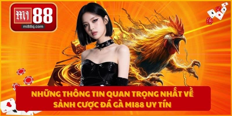 Những thông tin quan trọng nhất về sảnh cược đá gà MI88 uy tín