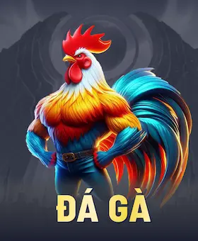 đá gà pic